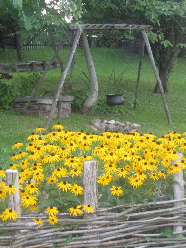 Cottage on Hill photo 3