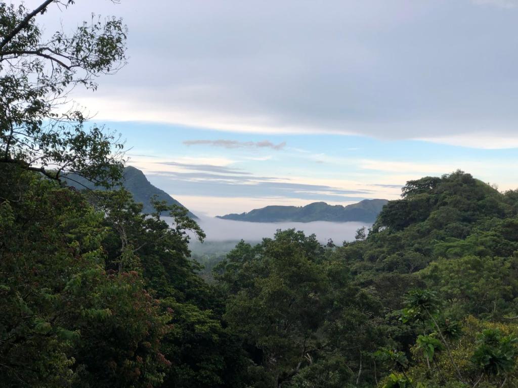 El Valle de Anton La Chachalaca photo 4