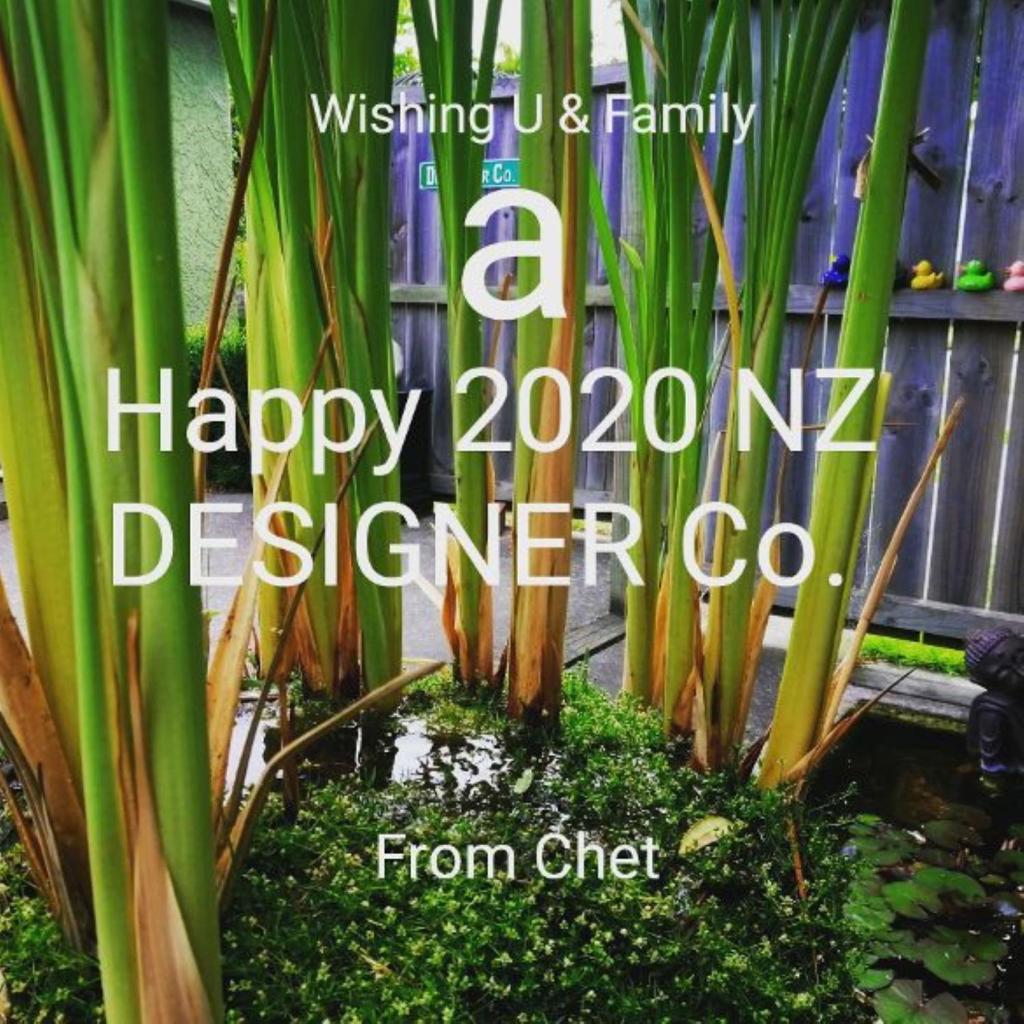 Designer Cottage photo 2