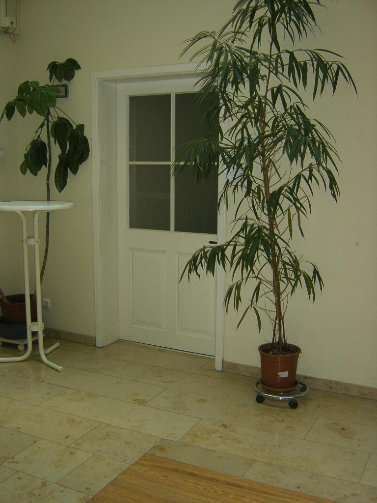 Gästehaus "Rendezvous am Schlossplatz" photo 1