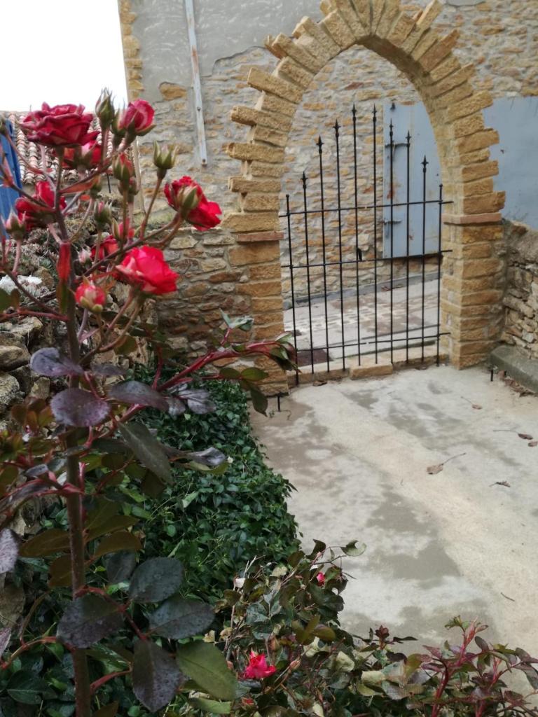 Apartamento Rafa photo 1