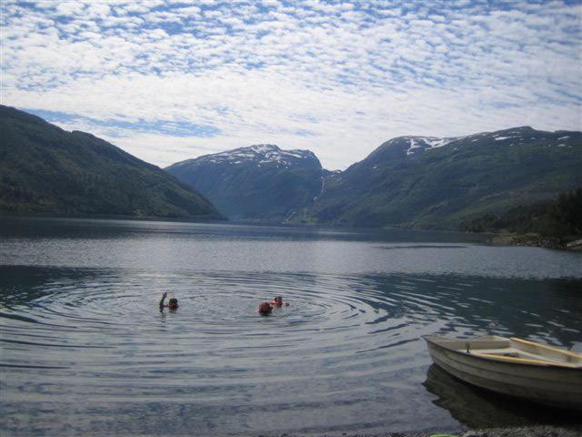Seim Camping - Røldal photo 3