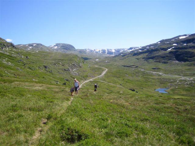 Seim Camping - Røldal photo 4