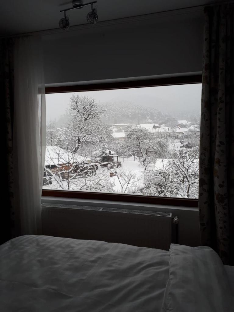 SEVEN HOUSE photo 3