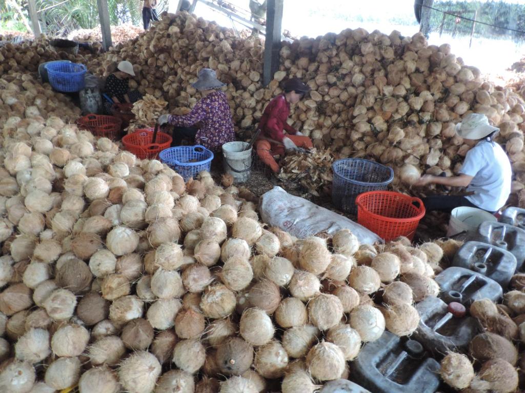Ben Tre Farm Stay