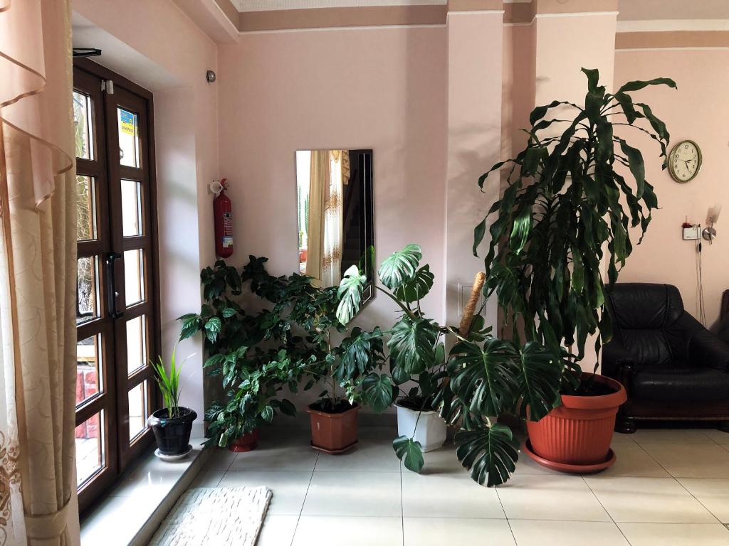 Comfort Hotel photo 4