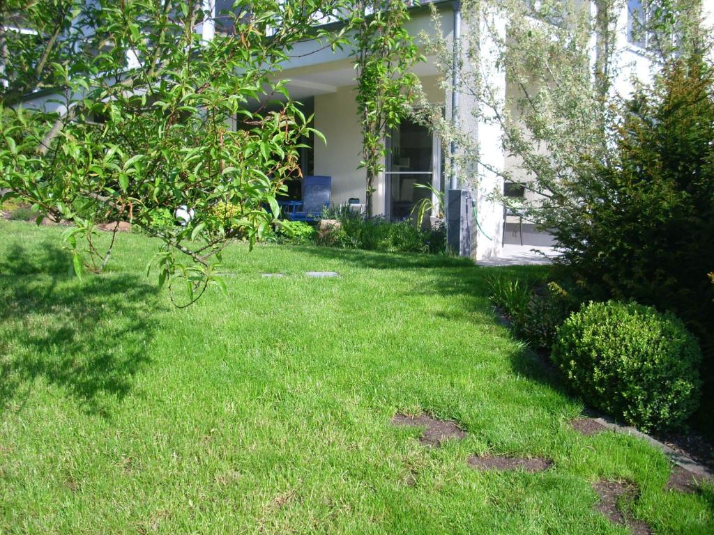 Seniorengerechte Ferienwohnung in Großalmerode photo 2