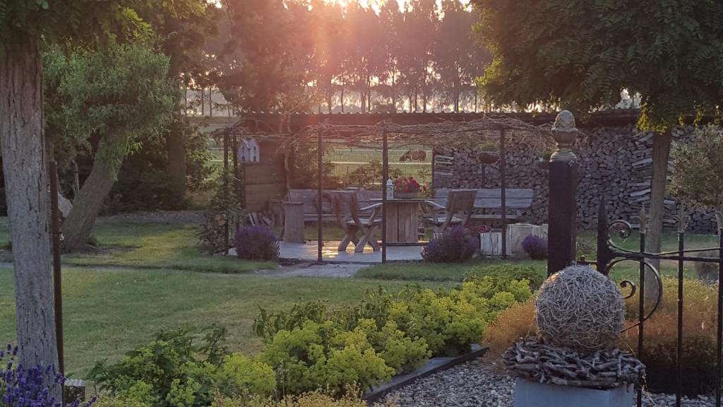 Bed & Breakfast de Kienstee photo 3