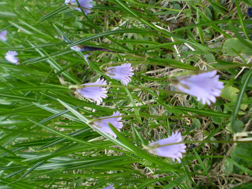Fassnauerhof Ridnaun photo 4