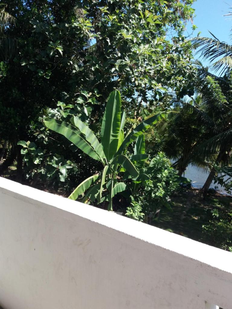 Ishitha Homestay photo 2