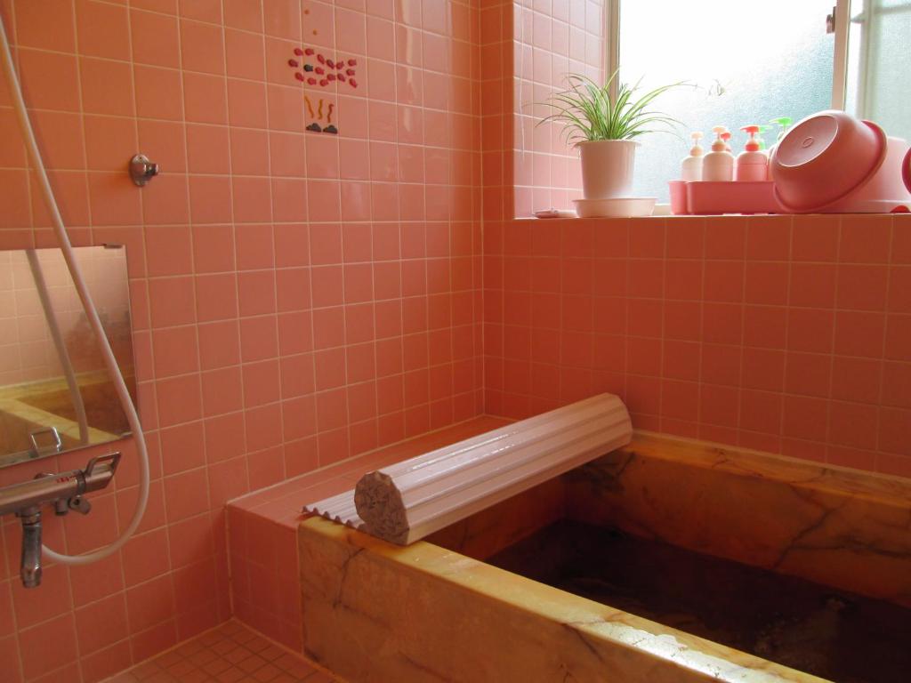 Pension Rapan photo 2