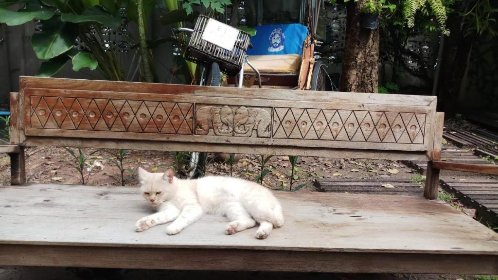 Baan Rare Guesthouse photo 3