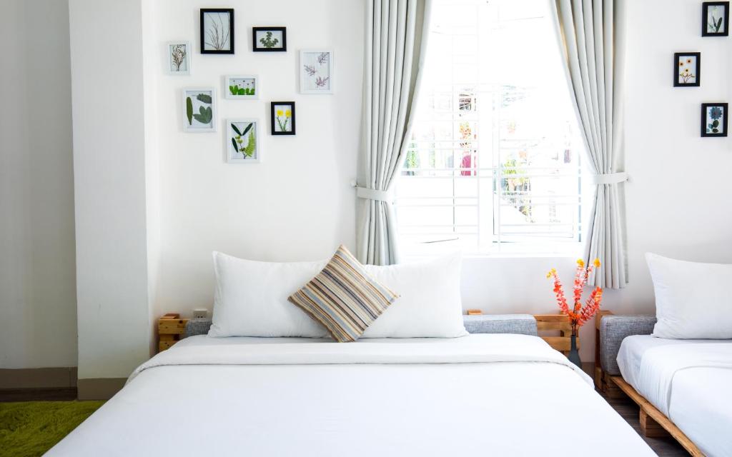 Nem's House Hội An