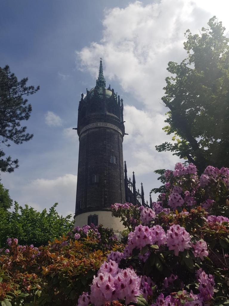 Fewo "Mohnblume" am Stadtpark photo 2