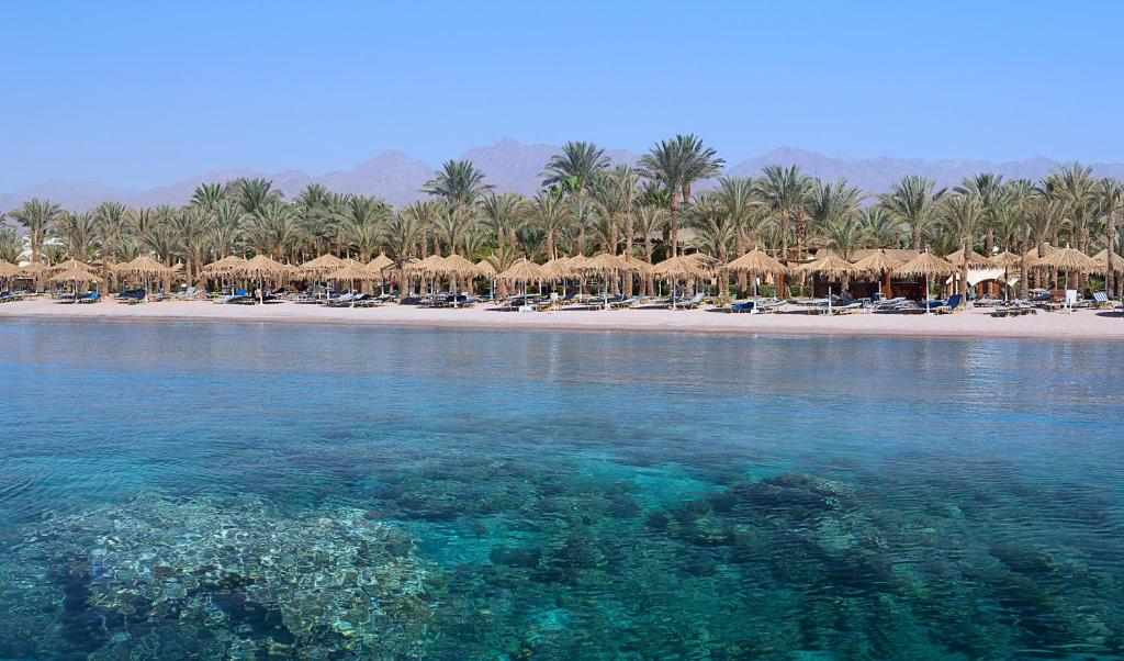 Sharm Dreams Vacation Club - Aqua Park photo 3