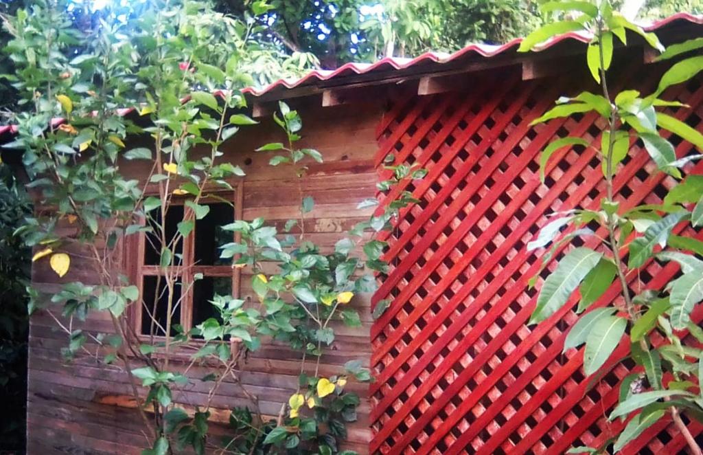 Soul Fire Casitas photo 3
