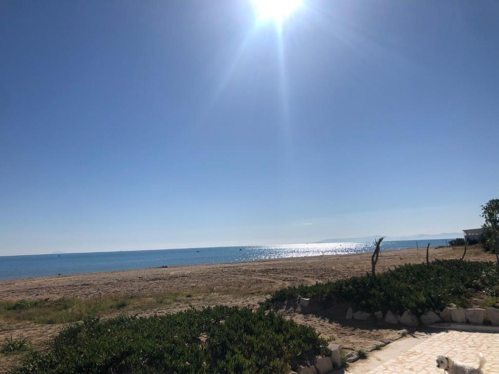 New cosy 2 bedrooms in La Marsa photo 1