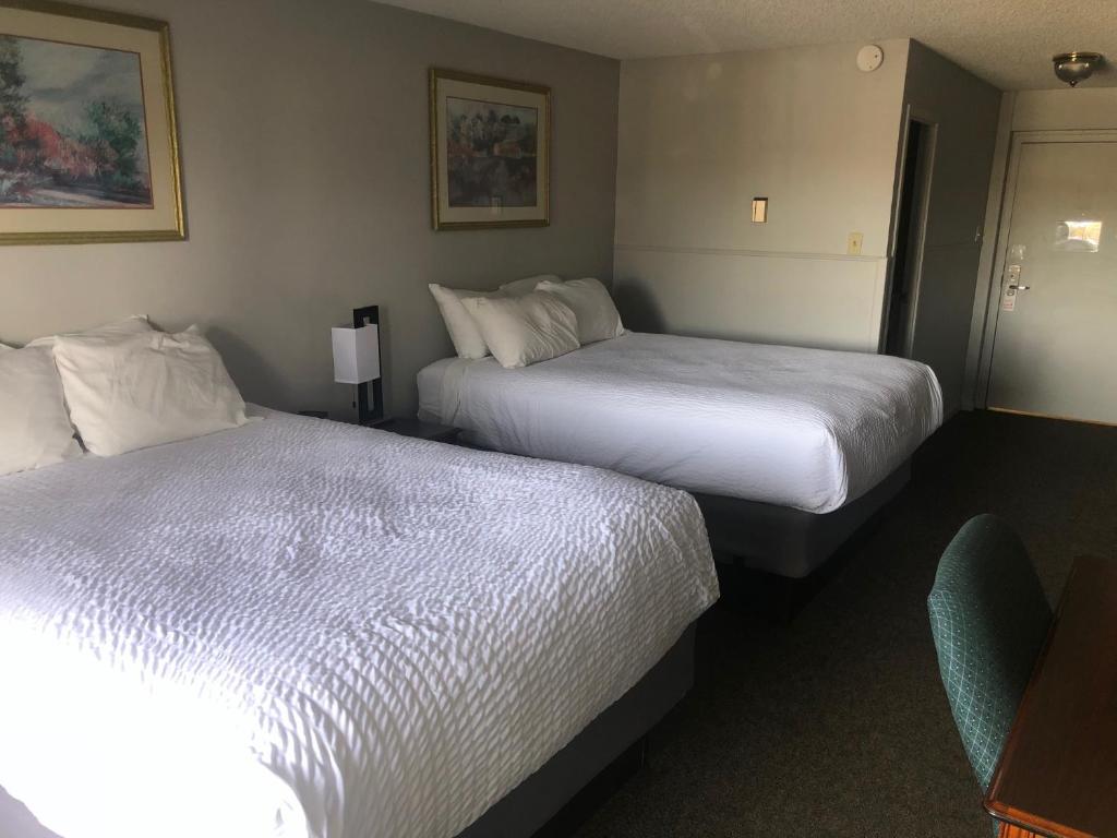 Satellite Hotel photo 1