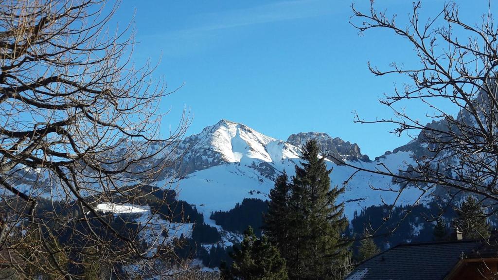 Chalet Allmegrat photo 2