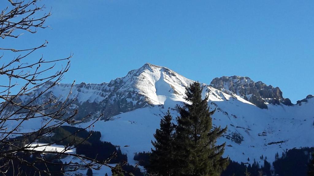 Chalet Allmegrat photo 1