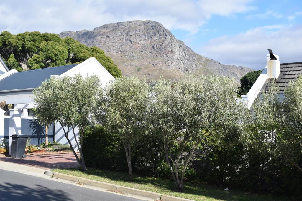 Protea Studio Franschhoek Central photo 2