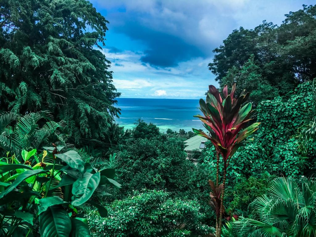 OCEAN VISTA photo 3