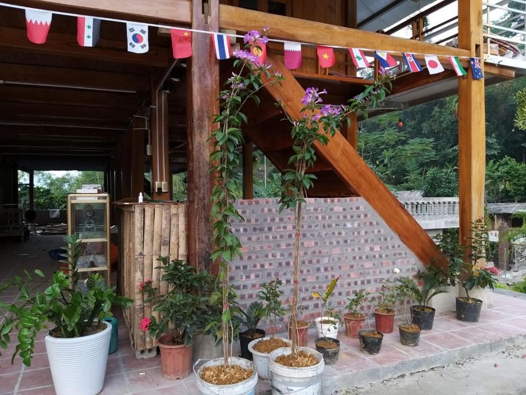 Homestay Hagiang Discovery