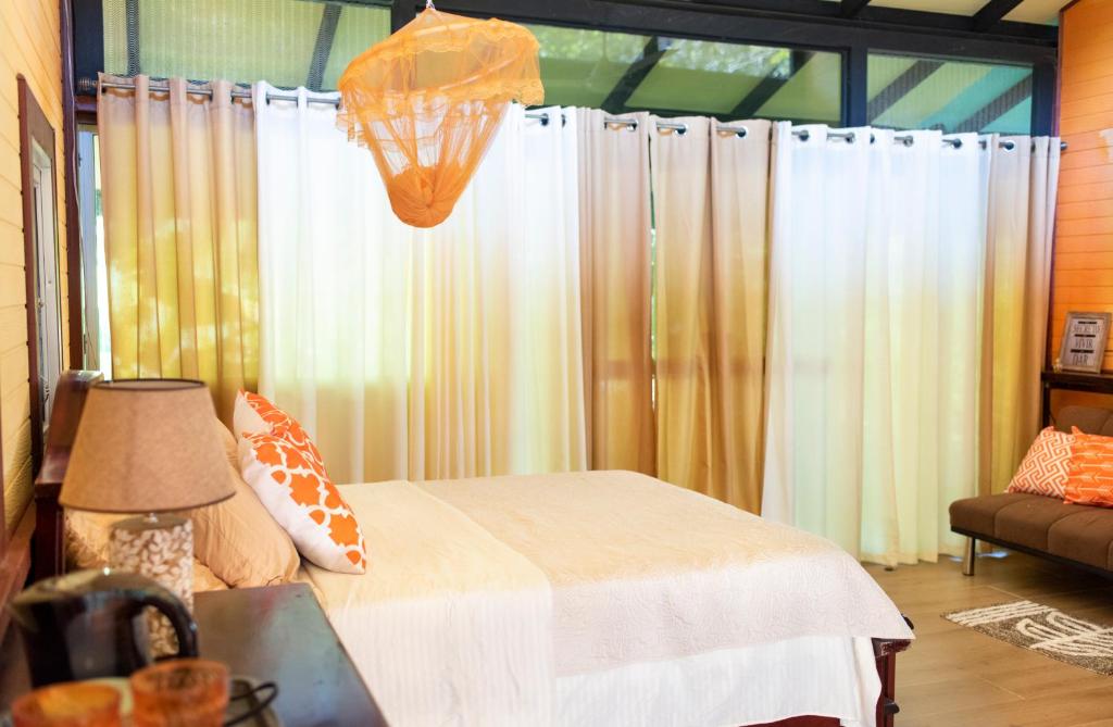 Coyote Rooms photo 4
