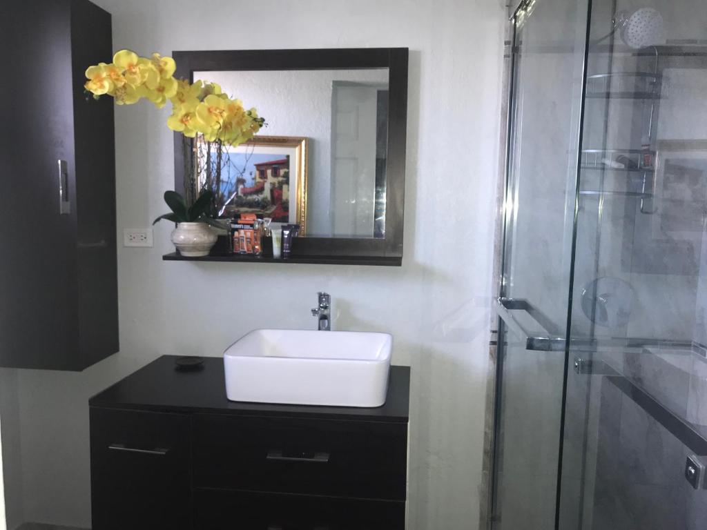 Abacus Jamaica the Zana Suites photo 4