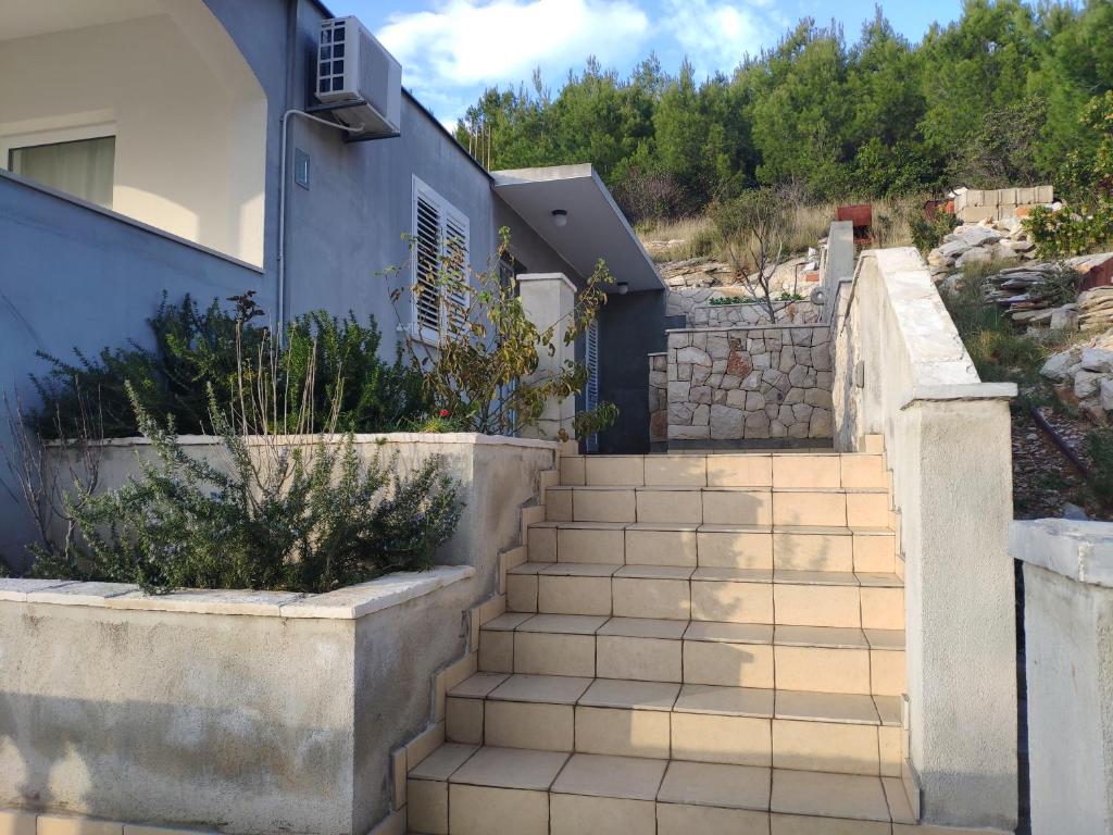 Apartments Surjan photo 3