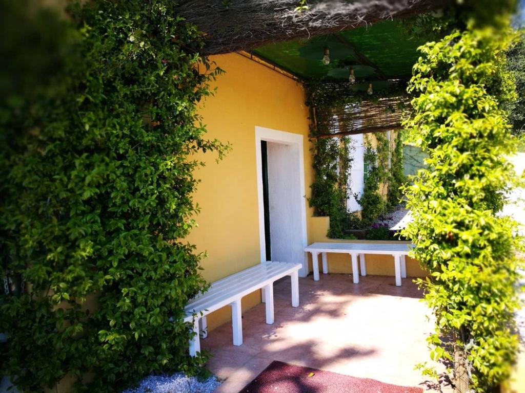 On Holiday Between Sky And Sea geco Di Campiglia pet friendly photo 1