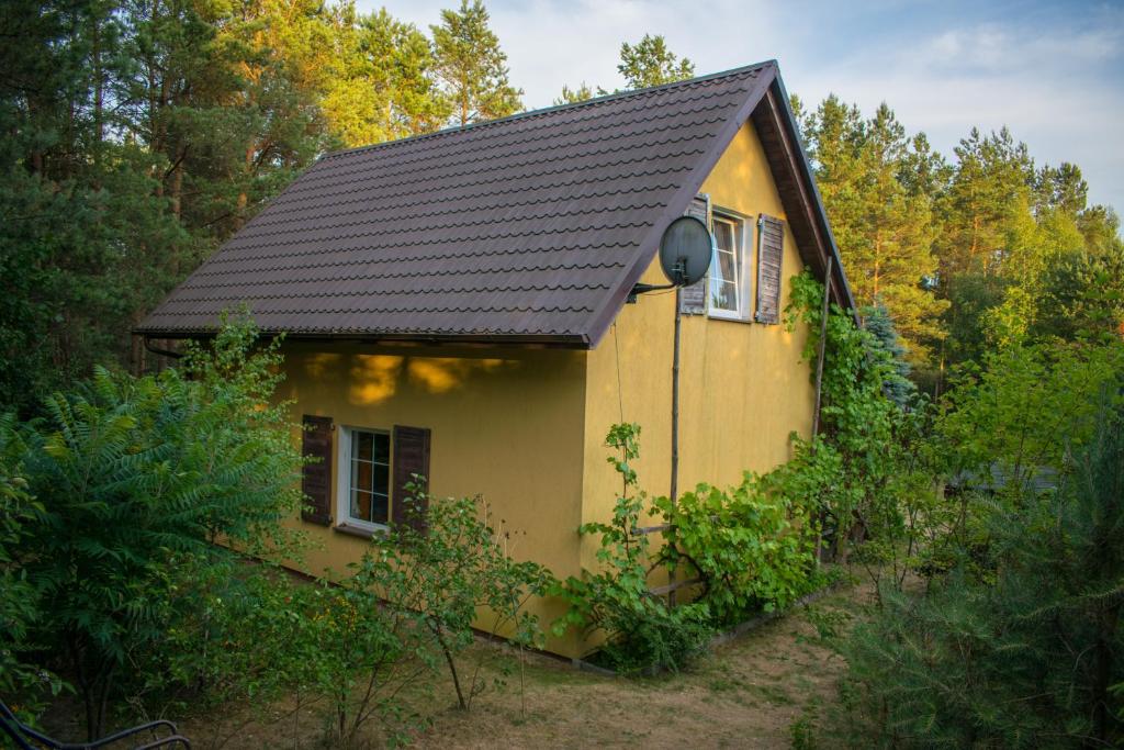 Gospodarstwo agroturystyczne nad jeziorem wśród lasów photo 3