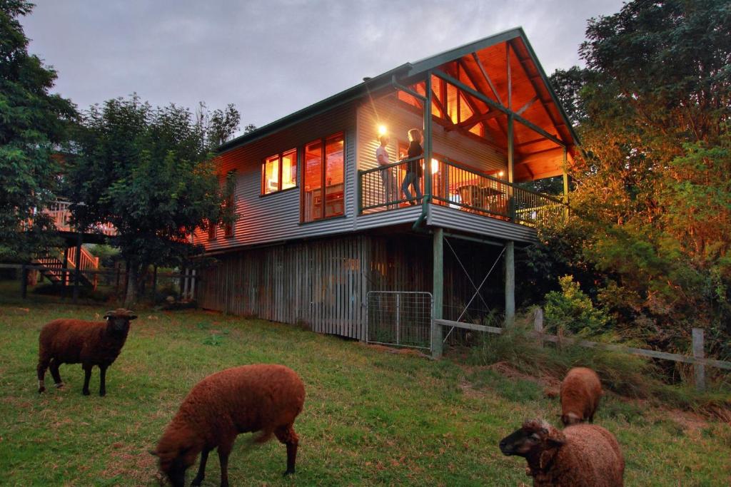 Worendo Cottages Room Type - Treehouse Two-Bedroom Cottage Worendo Cottages Room Type - Treehouse Two-Bedroom Cottage