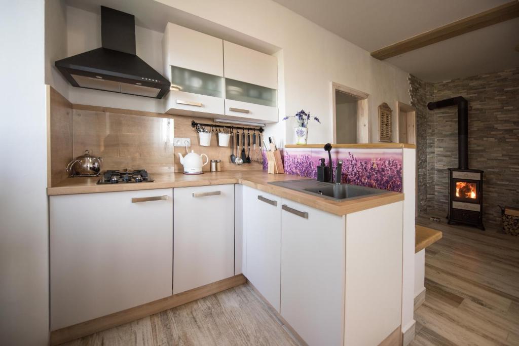 Apartmány HÁJOVNA Lipno photo 1