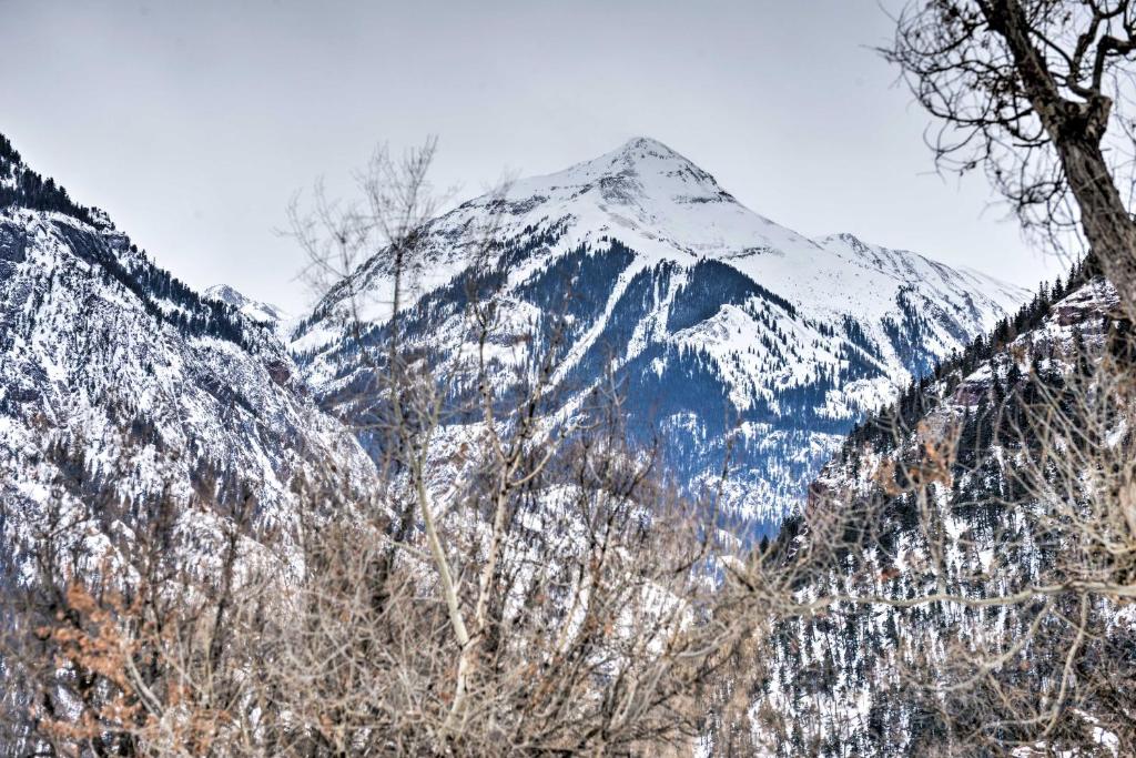 Cozy Home with Mtn Views Near Ouray Hot Springs! photo 2