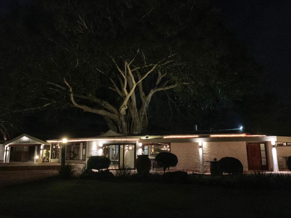 Damas Guest Farm photo 2