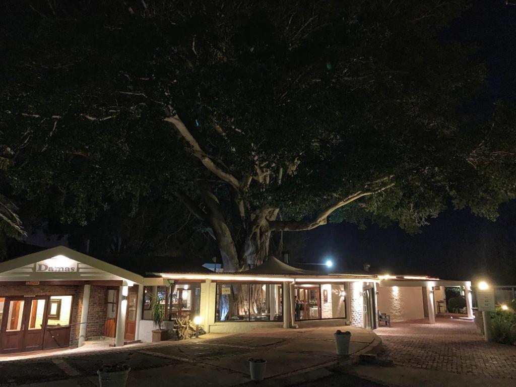 Damas Guest Farm photo 4