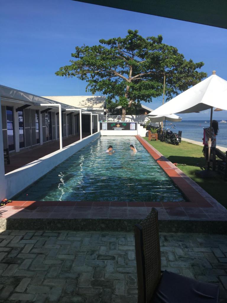 the beachhouse photo 1