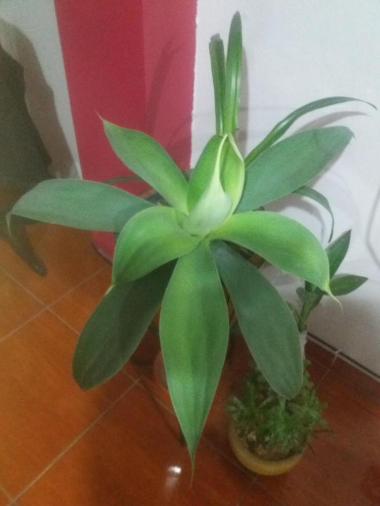 La Quilla House photo 1