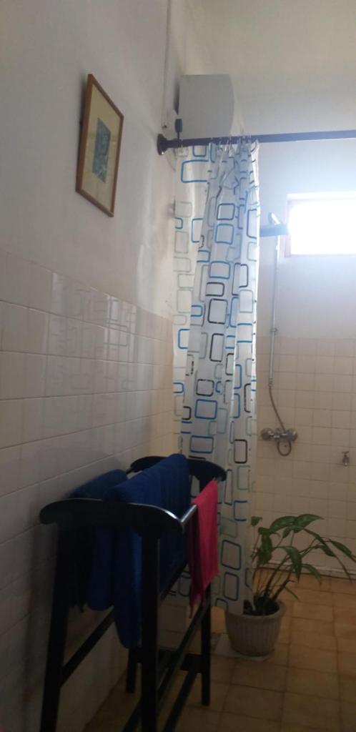 Апартаменты (Апартаменты с видом на море), The Icebear Guesthouse