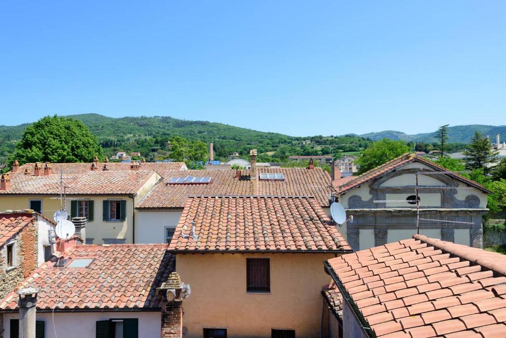 Domus Claudiae photo 4