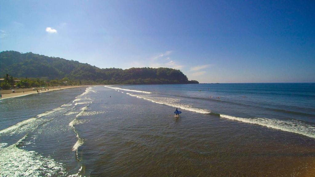 Costa Rica Surf Camp by SUPERbrand photo 2