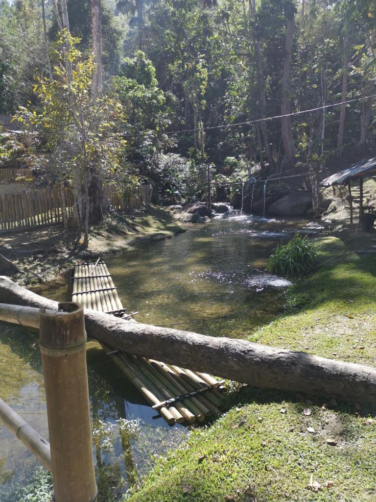 Rain Forest Inn photo 2