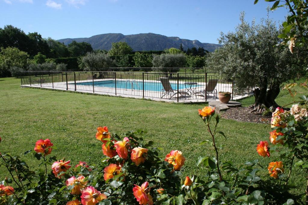 Le Moulin de Felix photo 3