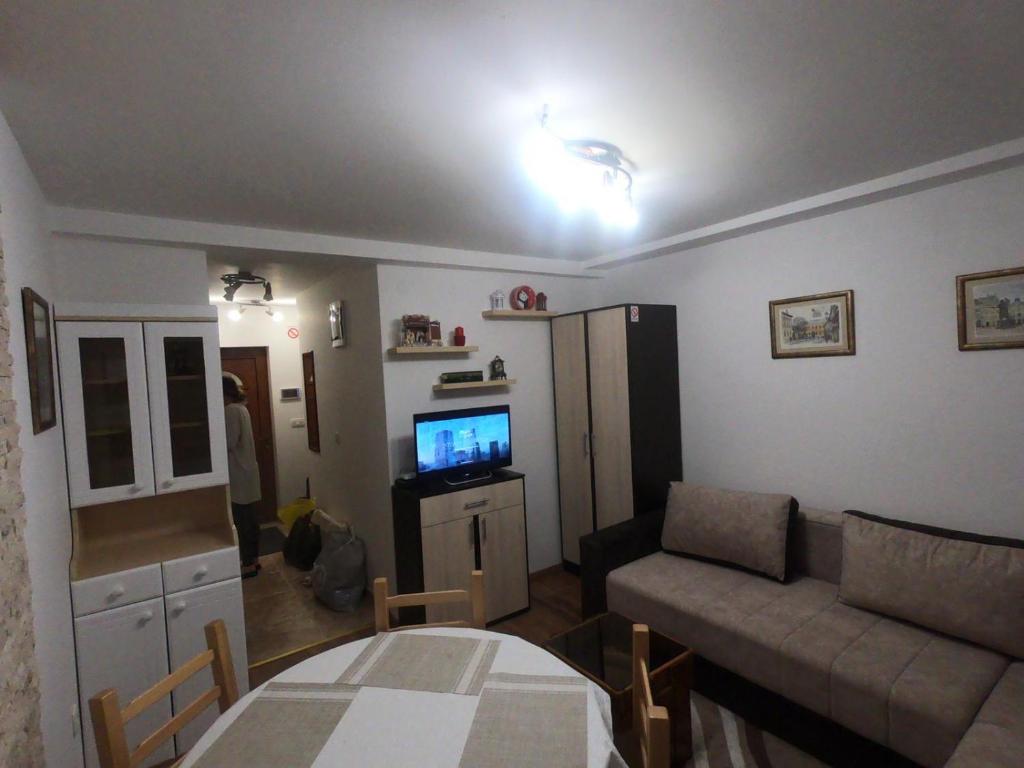Apartment Lazic vila Suri photo 1