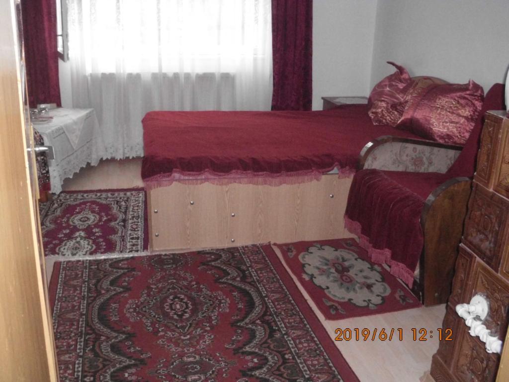 Vila Mihaela photo 3