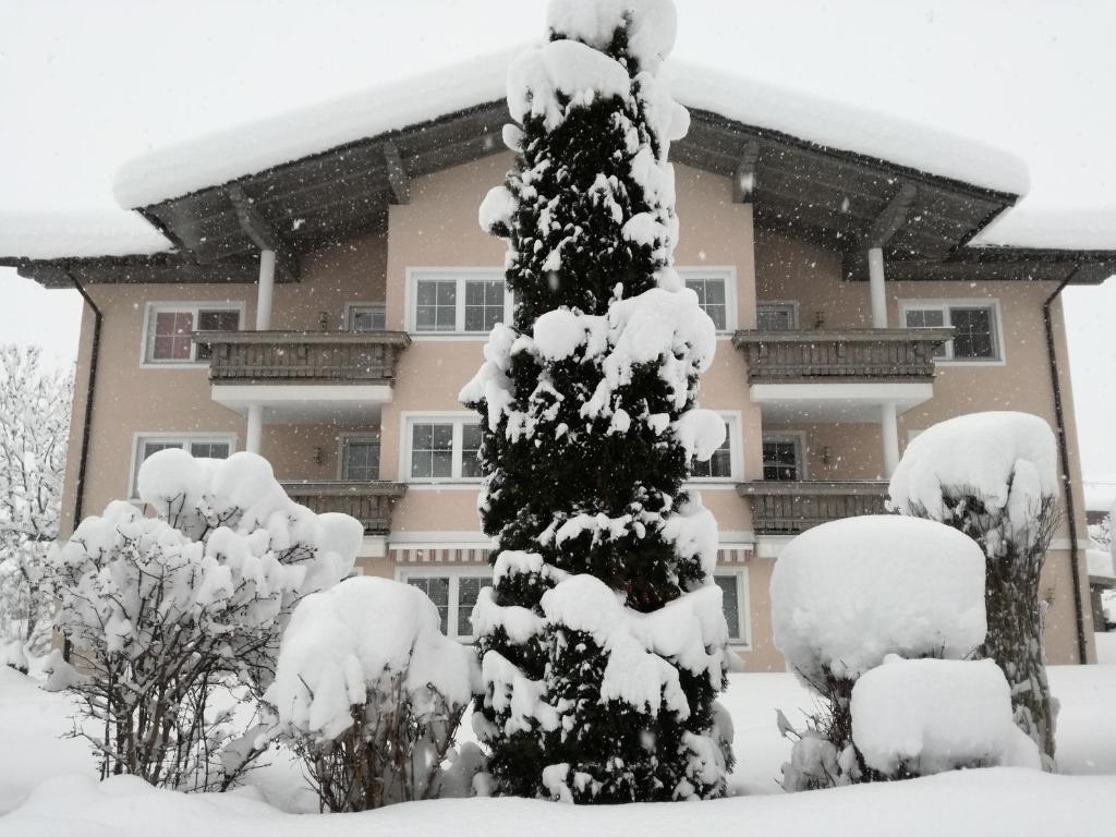 Appartements Oberhauser photo 4