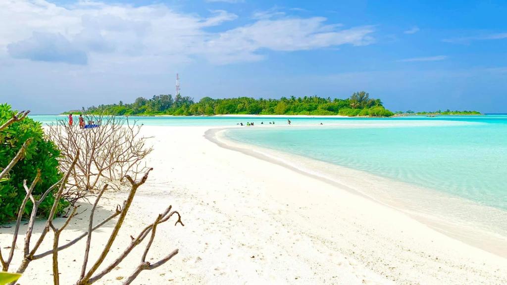 Royal Reef Stay photo 1