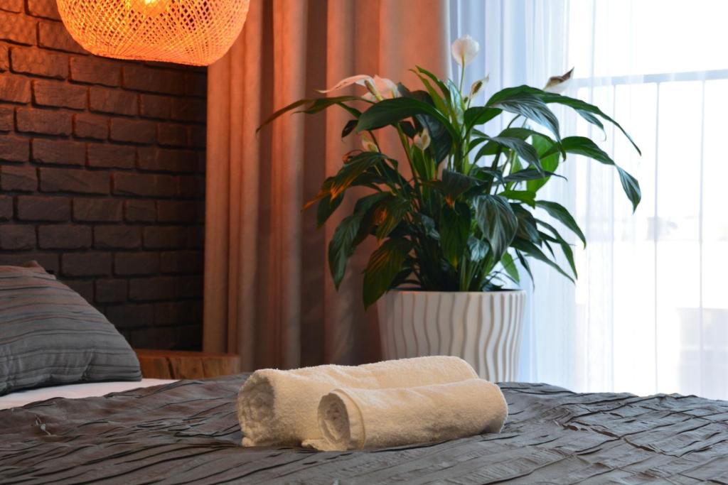 Last Floor Apartment - Krakow City Center close to Old Town