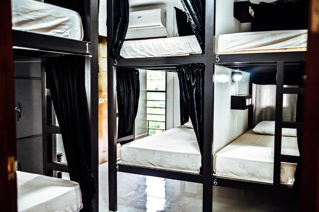 Island Brasserie Hostel photo 2